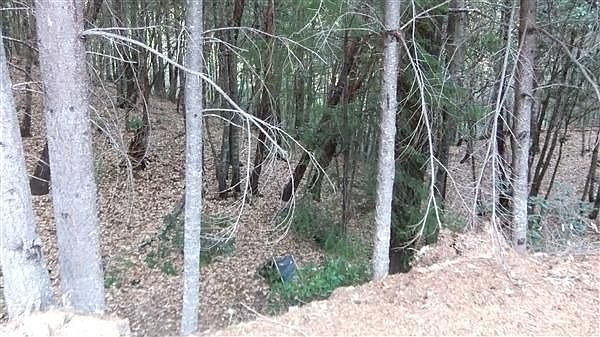 2nd image of 27791 Weasel Pl