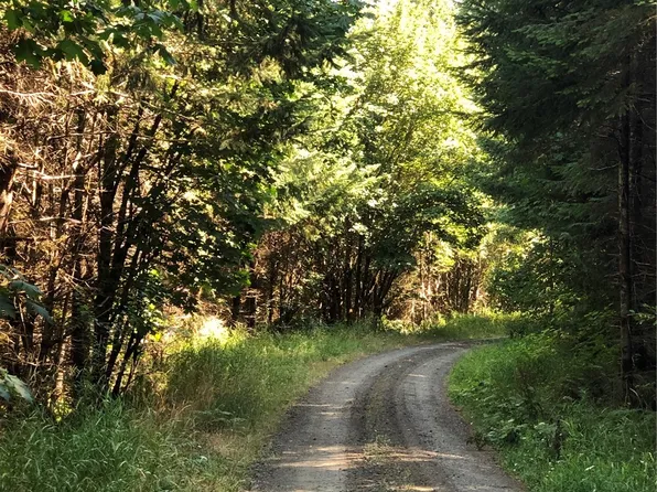 0 Lincoln Creek Road, Rochester, WA 98579