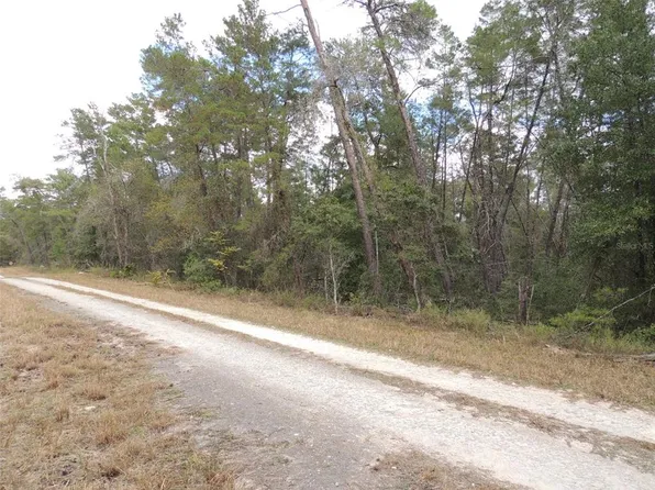 871 SE 145th Ct #9, Williston, FL 32696