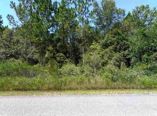 10225 Erickson Ave, Hastings, FL 32145