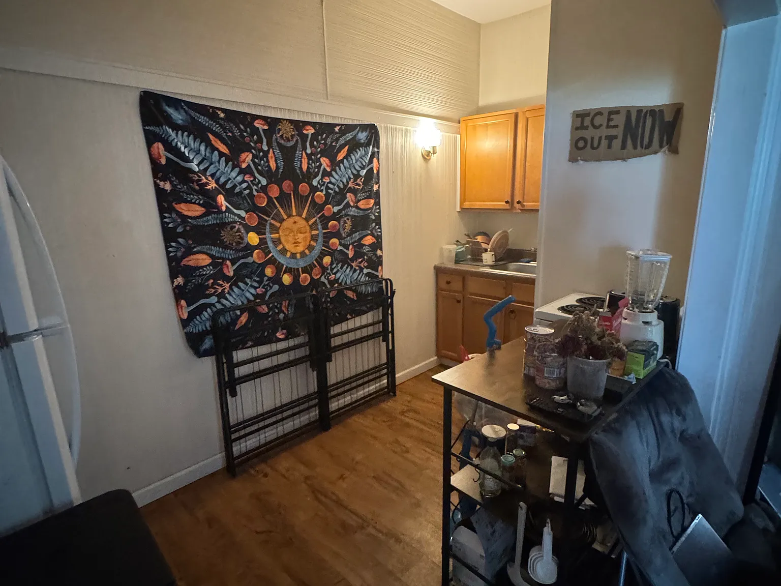 1 bed, $1,550 — Photo 3