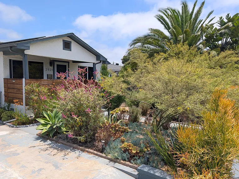 Front yard