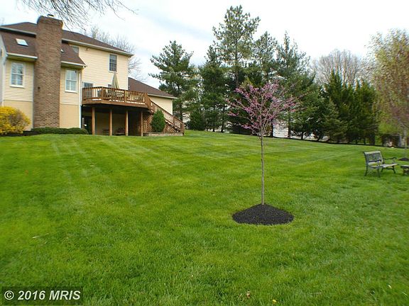 Huge Back Yard w/Professional Landscaping