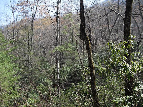 3rd image of Brooke Hollow Ln Lot 31