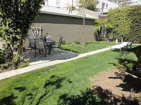 Yard in back of building