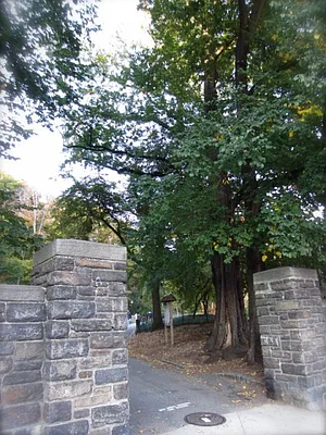 Rented by Bohemia Realty Group | media 17