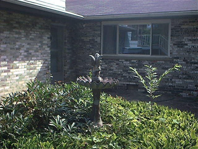 Rear Courtyard