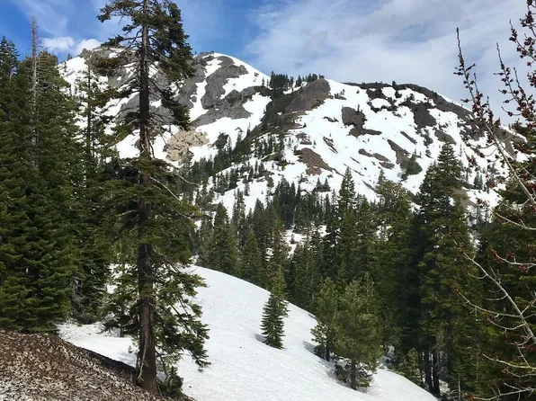 2090 Chalet Rd #2, Alpine Meadows, CA 96146