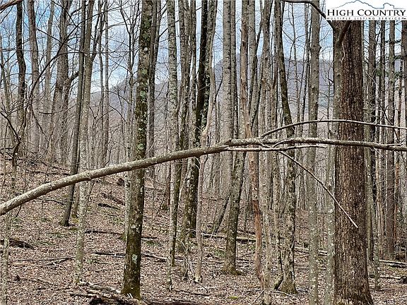 3rd image of TBD Hickory Heights Drive