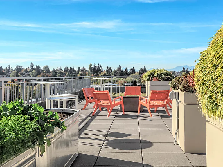 Rooftop Deck