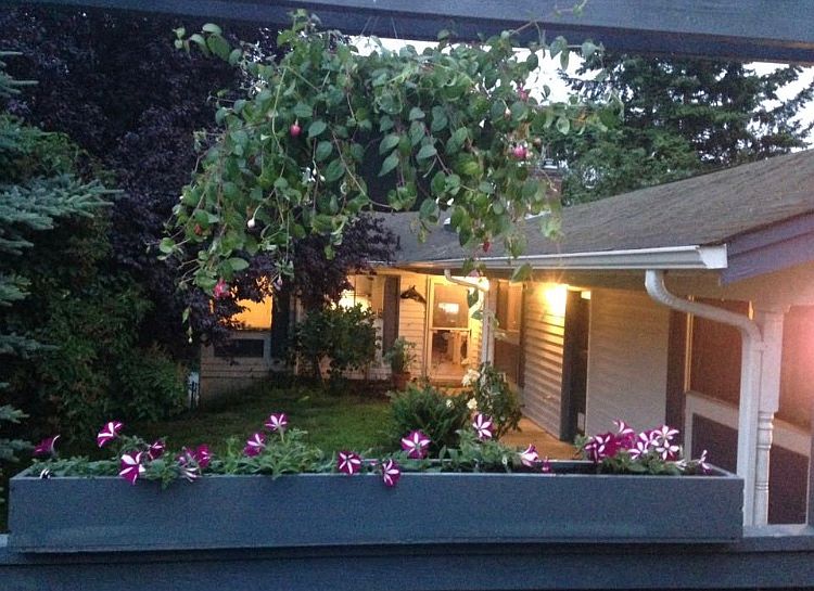2nd image of 10340 11th Ave NW