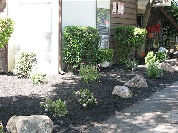 NEW LANDSCAPE EXTERIOR