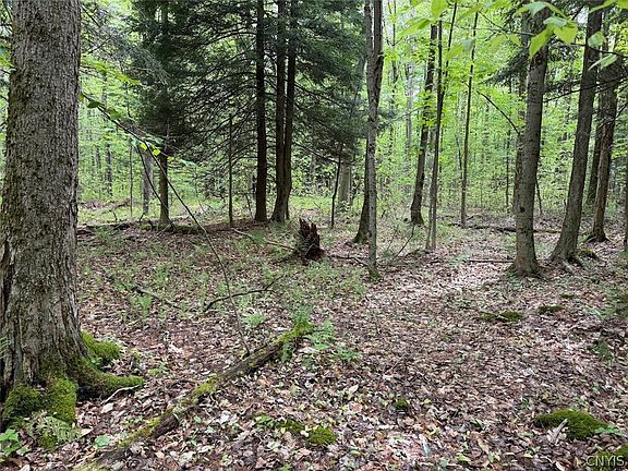 3rd image of Kellogg Hill Rd