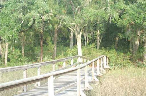 2nd image of 321 Tivoli Marsh Rd