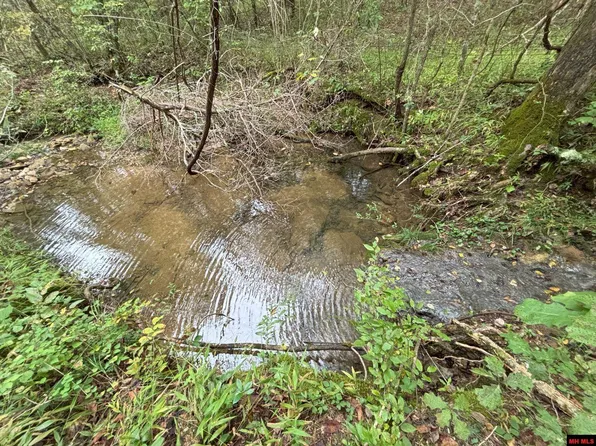 001-04254-001 Plumtree Trl, Norfork, AR 72658