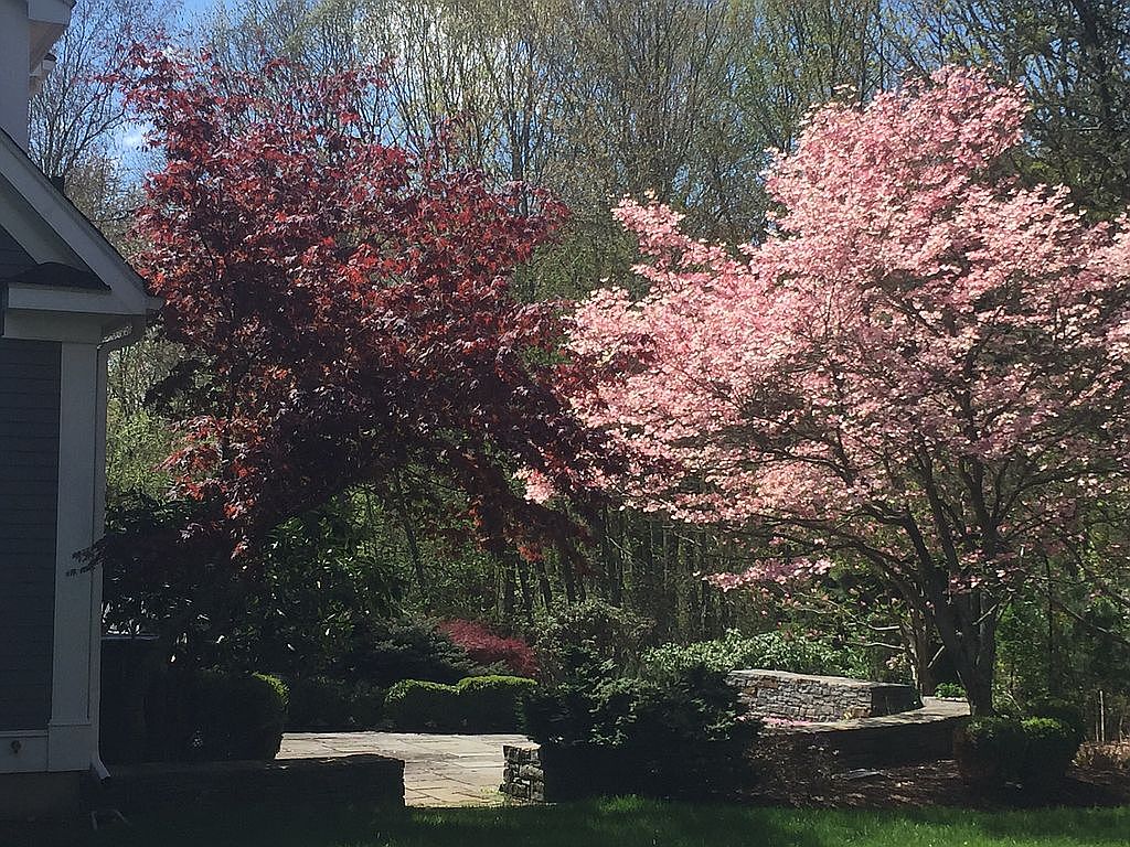 31 Lawlor Rd, Tolland, CT 06084 Zillow