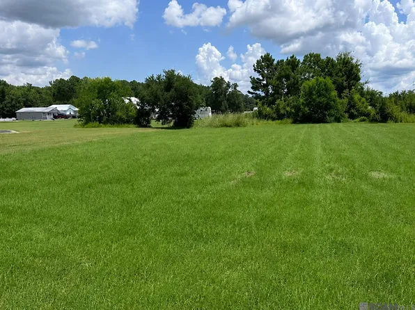 17070 Coles Crk, Springfield, LA 70462
