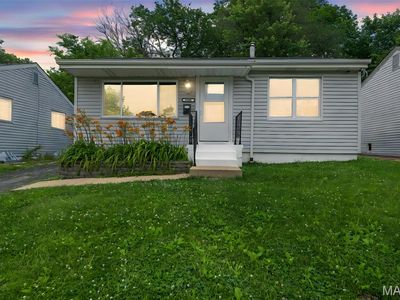 2604 Tamm Ave, Saint Louis, MO, 63139
