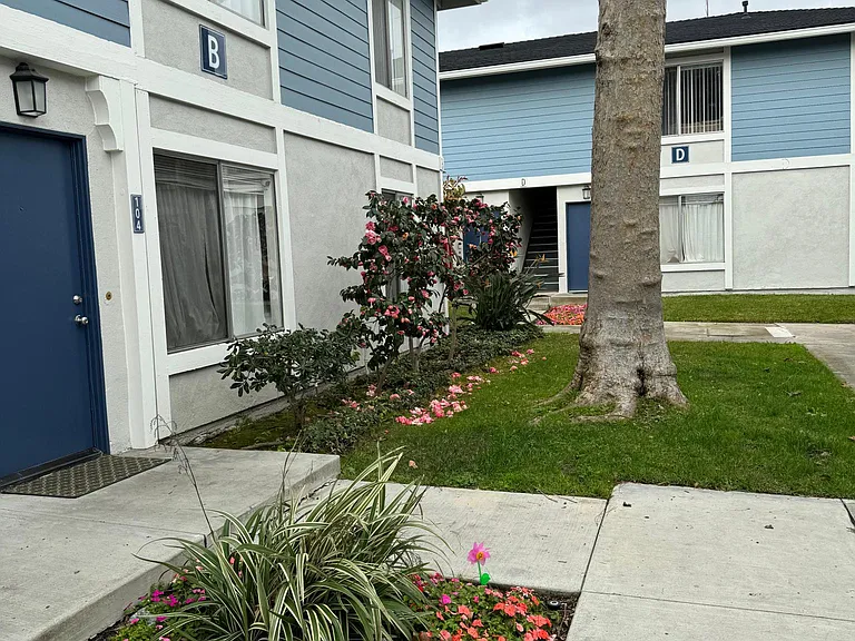 Victoria Pines — Photo 25