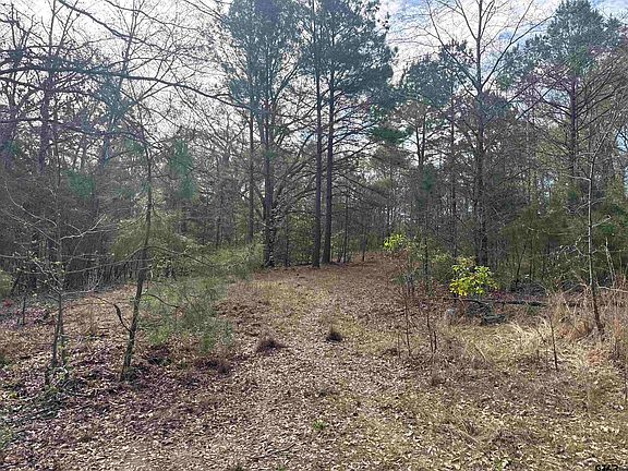 4th image of 15485 County Road 46