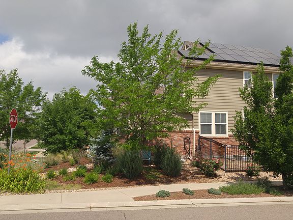 Side view of yard in bloom