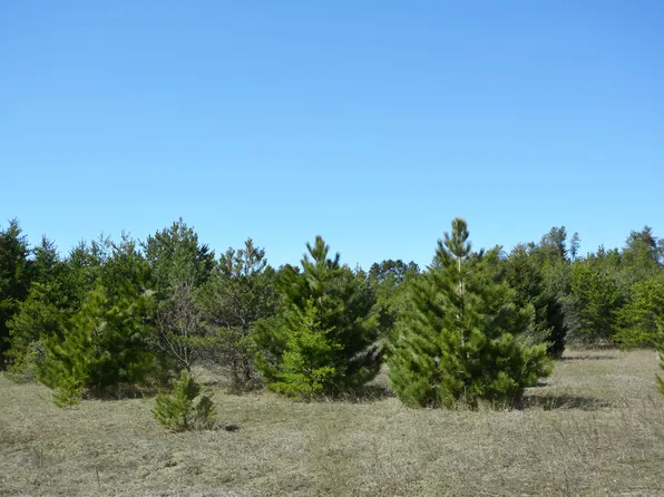 0000 Fourth Street, Thompsonville, MI 49683