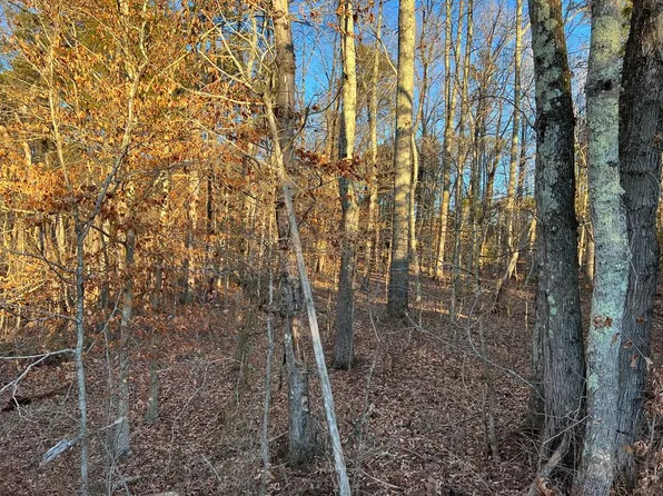 State Shed Rd, Nathalie, VA 24577