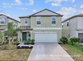 9915 Jackfruit Ct, Riverview, FL 33578