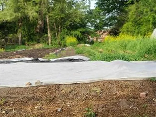 2969 Rosa Parks Blvd, Detroit, MI 48216