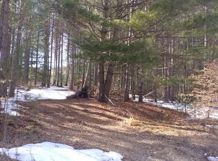 200th Ave, Leroy, MI 49655