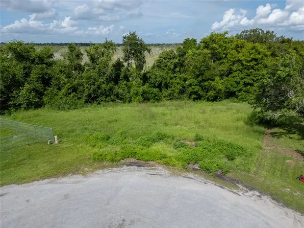Nest Ct Lot 8, Grand Island, FL 32735
