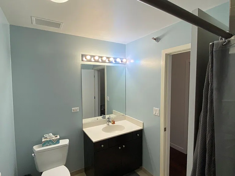 235 W Van Buren St #1422 — Photo 15