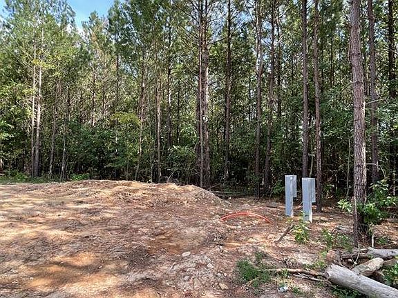 3rd image of 383 Bear Pine Trl #71