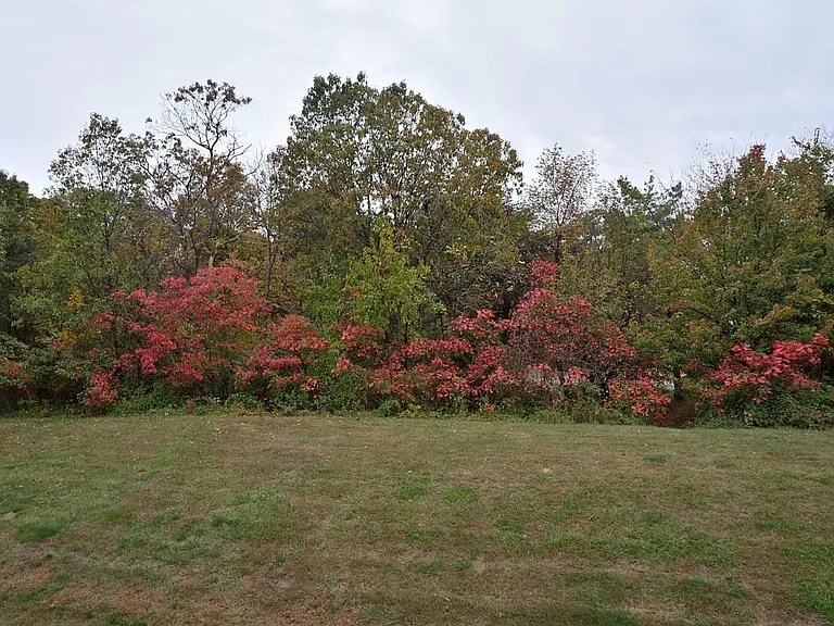 Property backing Lincolnia Park