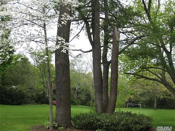 5th image of 0 Meadow Ln