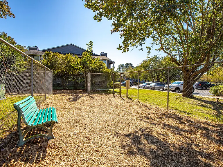 Palmetto Grove — Photo 11