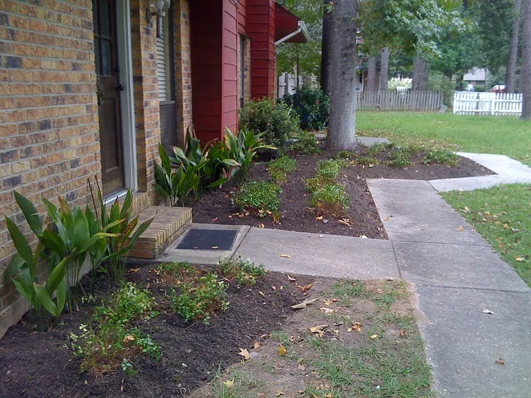 Front Yard