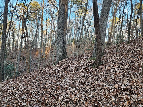 4th image of Pamela Ct Lot 2237