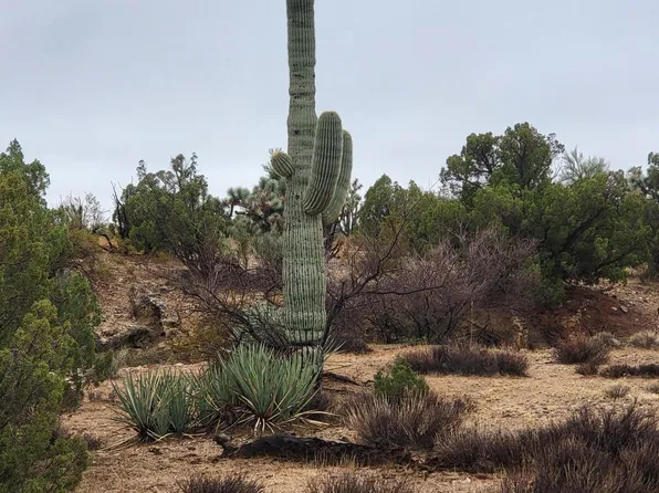 143 E Arroyo Vista Dr, Yucca, AZ 86438