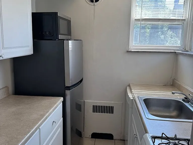 434 Shady Avenue — Photo 42