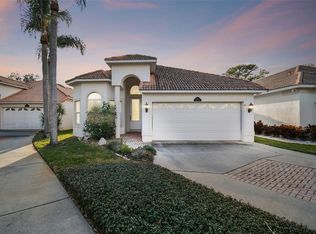 1117 Callista Ave, Valrico, FL 33596