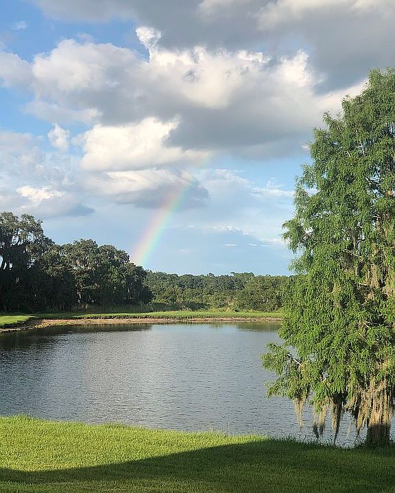 1st image of 10758 Osprey Landing Way
