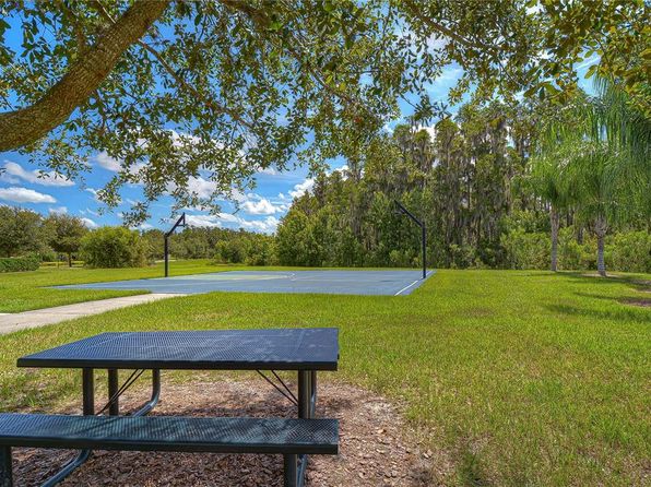 19462 Paddock View Dr, Tampa, FL 33647