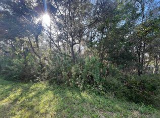 2312 Mink Rd, Avon Park, FL 33825