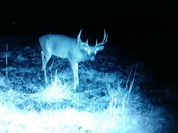 I am still out here!