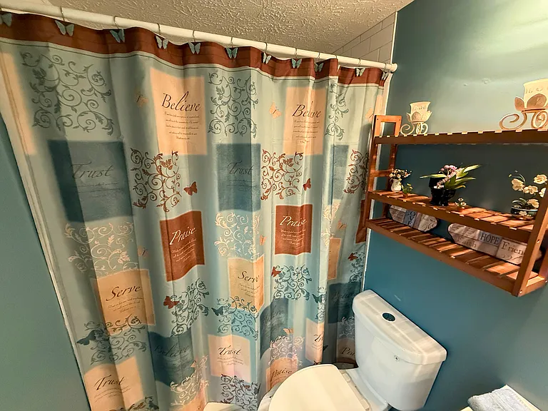 Hall bathroom