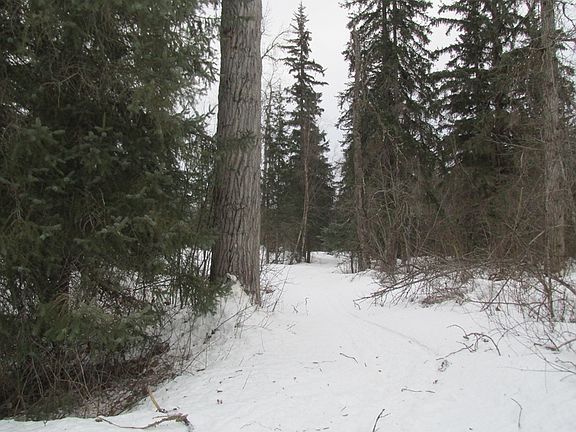5th image of 33 Mile Haines Hwy