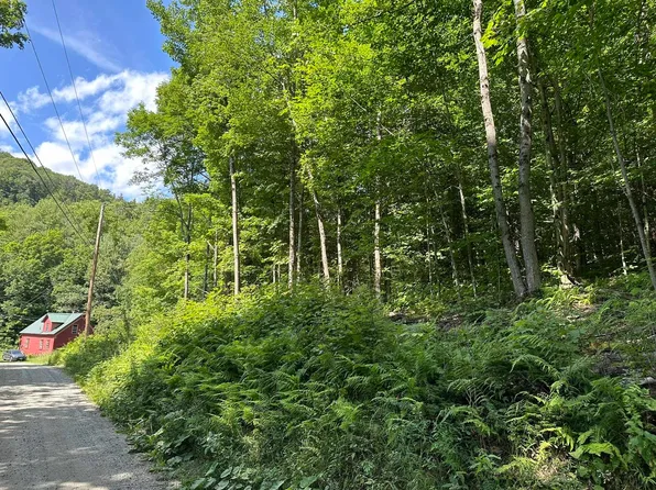 0 Dog Pond Road #10-61, Woodbury, VT 05680