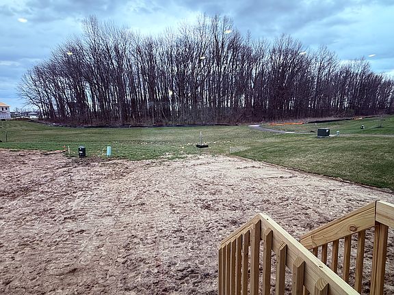 Wooded Backyard