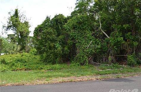 4th image of 1120 Lodi Ave